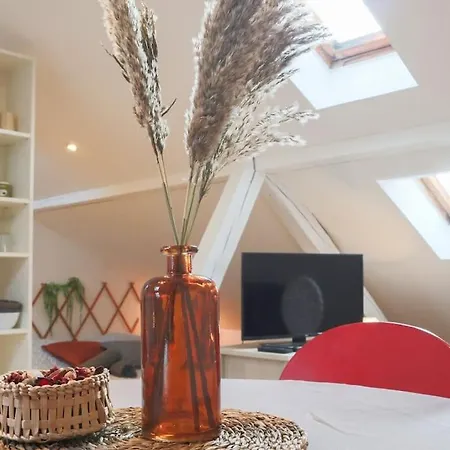 Διαμέρισμα Le Petit Loft, Centre Μυλούζη