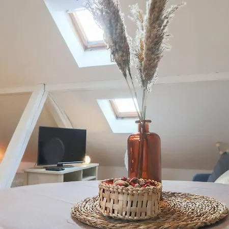 Le Petit Loft, Centre Διαμέρισμα *